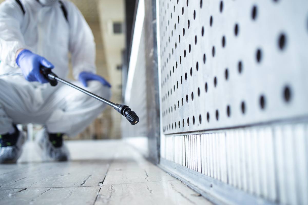 Pest control technician in a protective suit spraying treatment