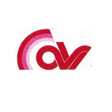 AVV Electricals logo